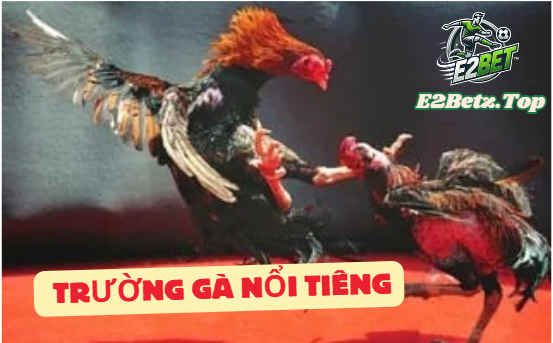 Trang Đá Gà Trực Tiếp E2BET