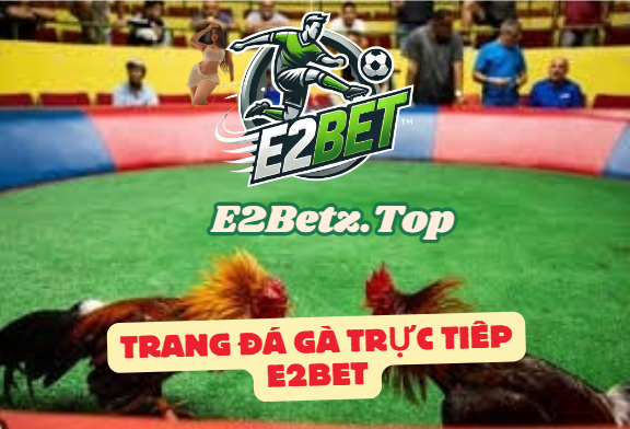 Nền Tảng Đáng Tin Cậy E2bet Tv